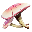 Pink Mushroom